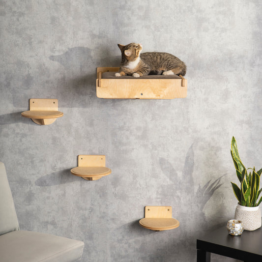 Stylish Cat Bridge with Attached Feeder: The Perfect Combo for Your Feline Friend!