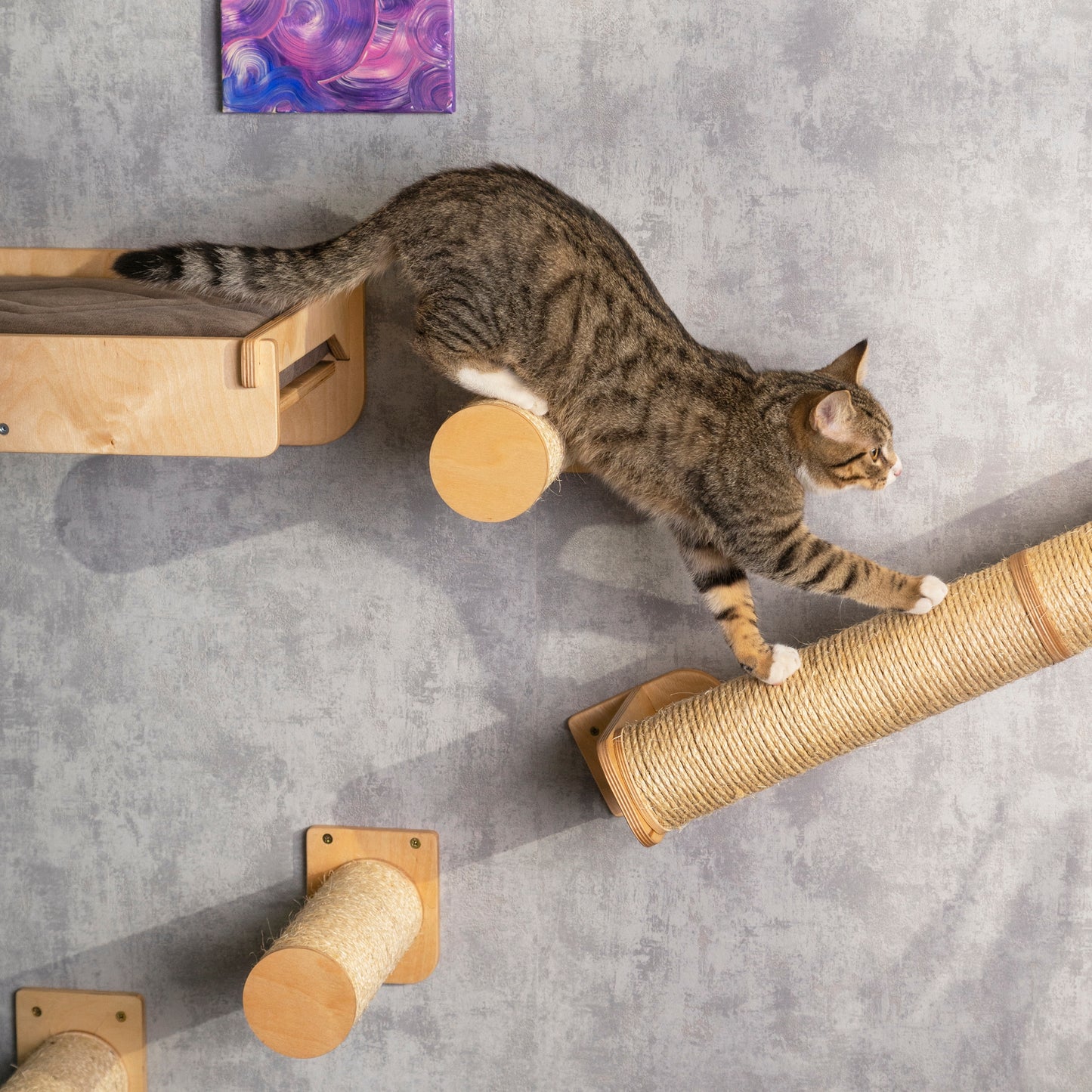 Multi-Functional Cat Bed: Feeder, Steps, and Scratching Post - Pamper Your Beloved Cat with the Ultimate Haven