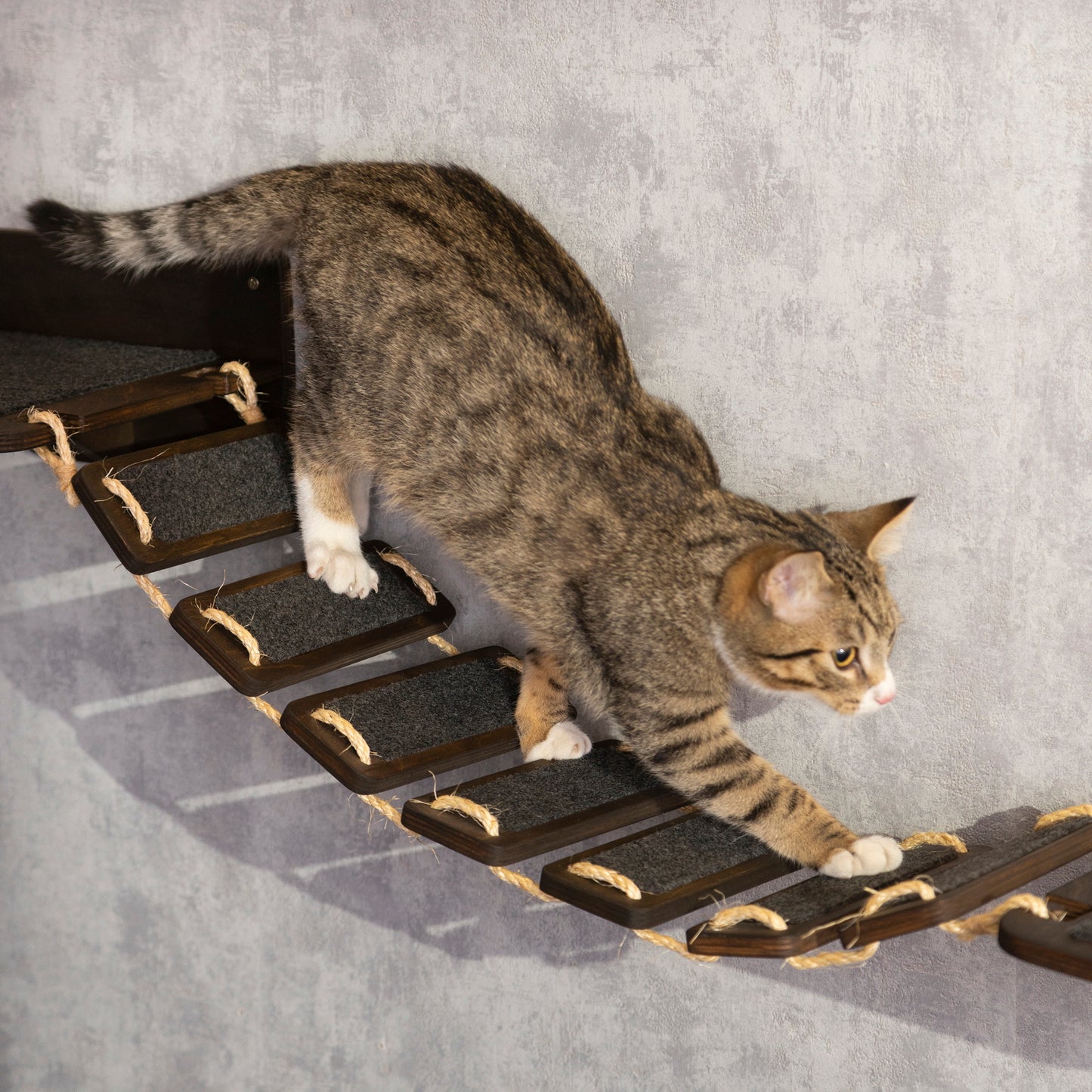 Cat Bridge with Integrated Feeder - A Functional and Decorative Addition to your Cat's Space!