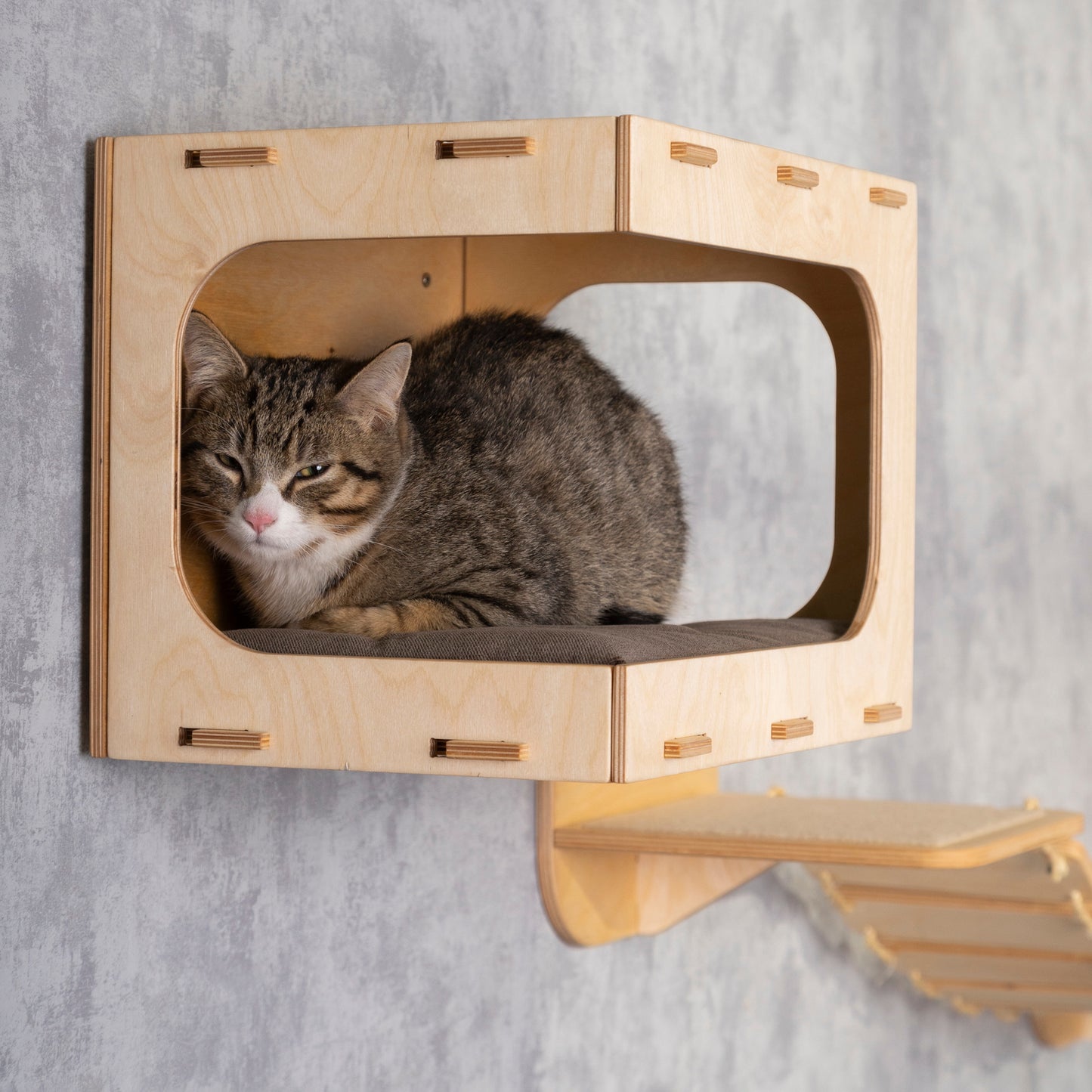 Luxurious Cat House with Cozy Steps and Corner Bridge - Perfect for Your Feline Friend