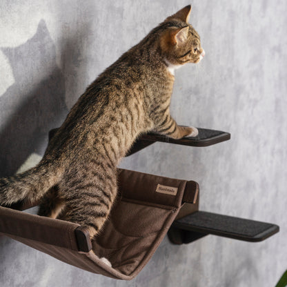 Elevate Your Cat's Playtime: Modern Cat Hammock, Step, and Bridge Trio