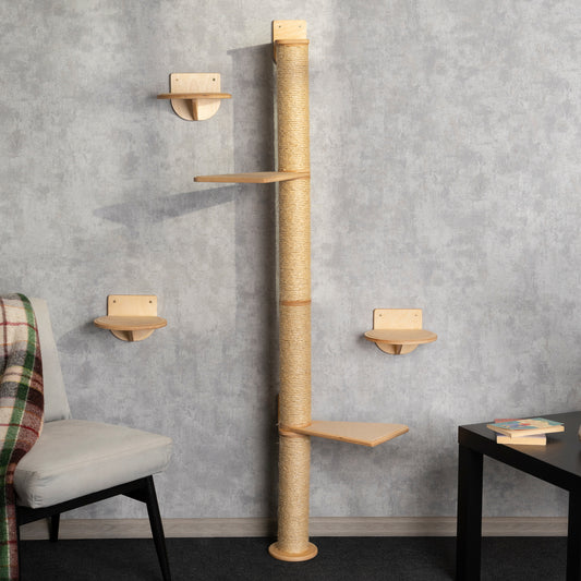 Multi-Level Cat Tree and Wall Mounted Shelves Set - Keeping Kitty Active and Content