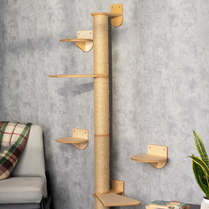 Multi-Level Cat Tree and Wall Mounted Shelves Set - Keeping Kitty Active and Content