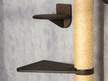 Multi-Level Cat Tree and Wall Mounted Shelves Set - Keeping Kitty Active and Content