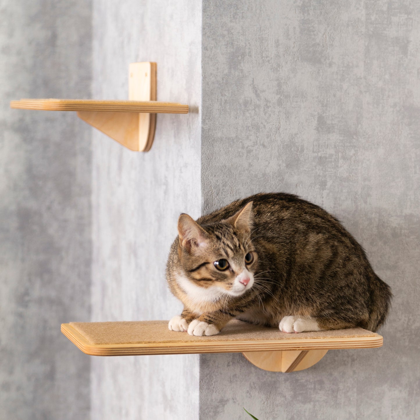 Handcrafted Floating Cat Shelves - Stylish and Space-Saving Wall Mount Furniture for Your Feline Friend