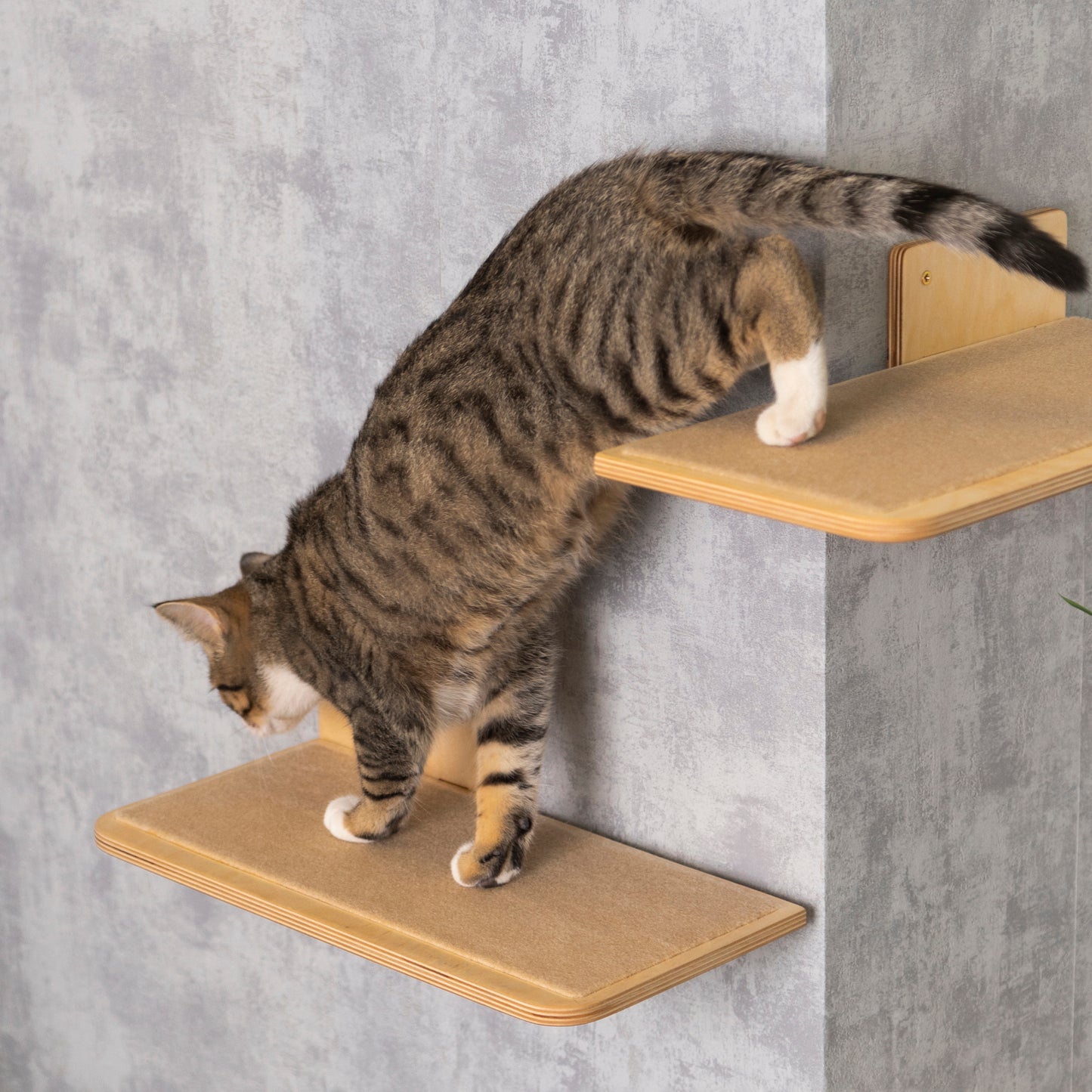 Handcrafted Floating Cat Shelves - Stylish and Space-Saving Wall Mount Furniture for Your Feline Friend