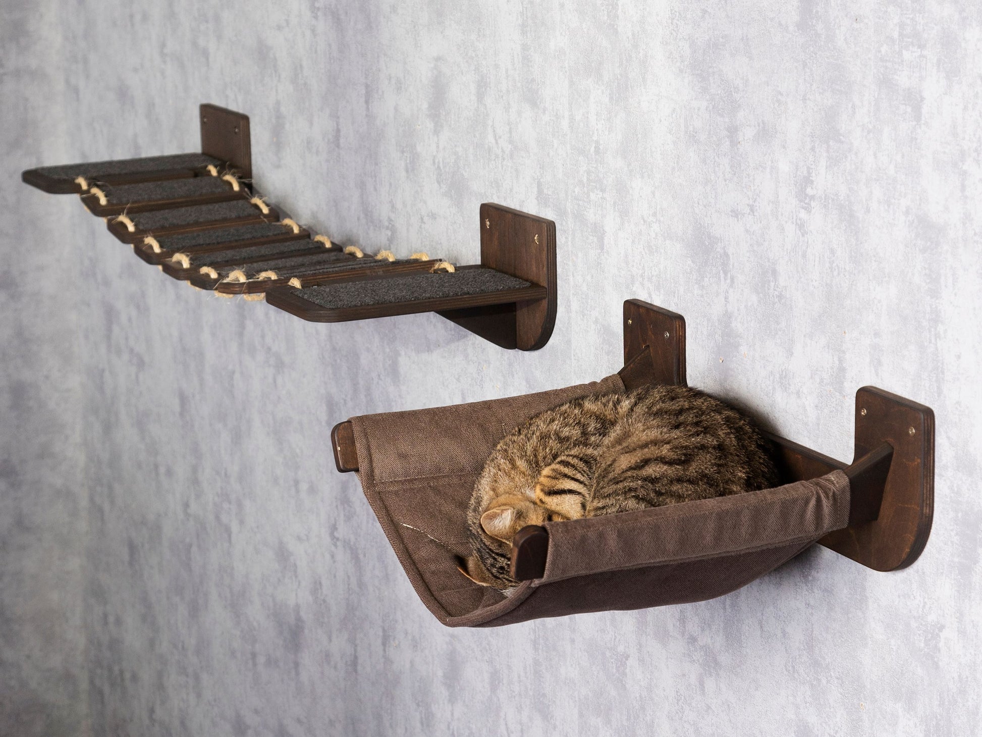cat hammock, cat bridge, elevated cat bed, wall shelves, wall cat scratcher