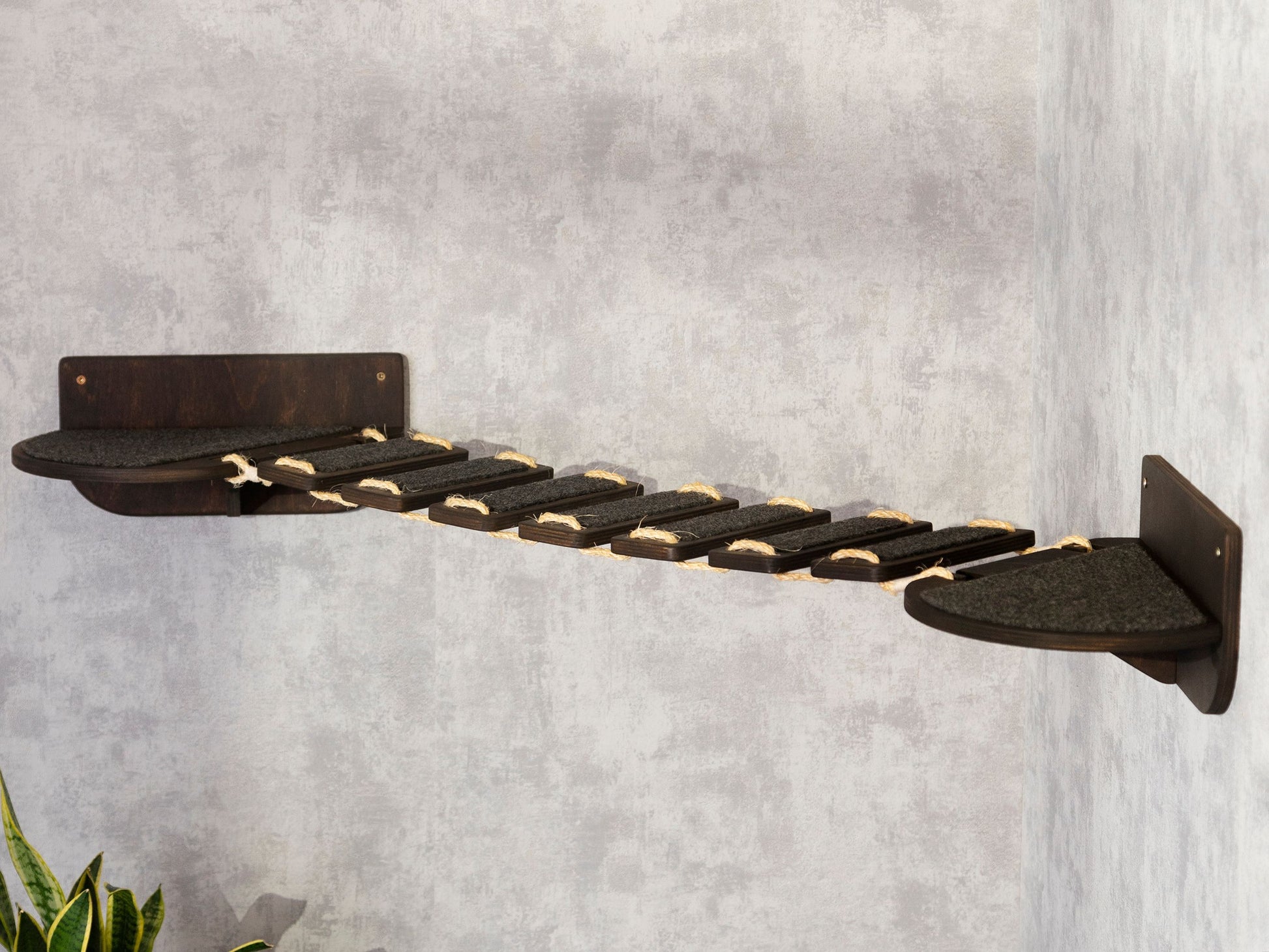cat bridge, cat wall shelves, color wenge