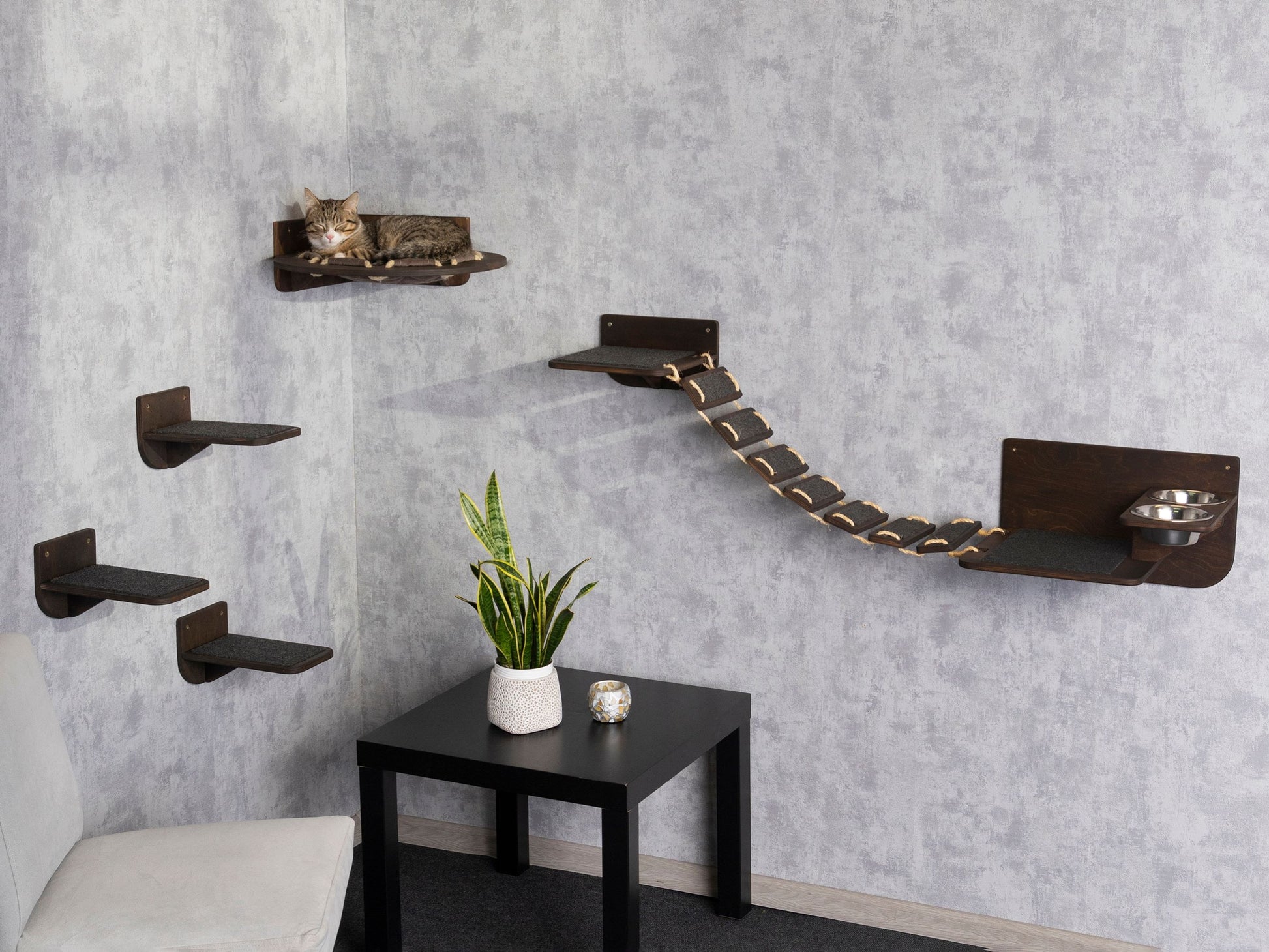 cat wall shelves, cat feeding station,  cat hammock, cat steps for wall, cat bridge, long shot