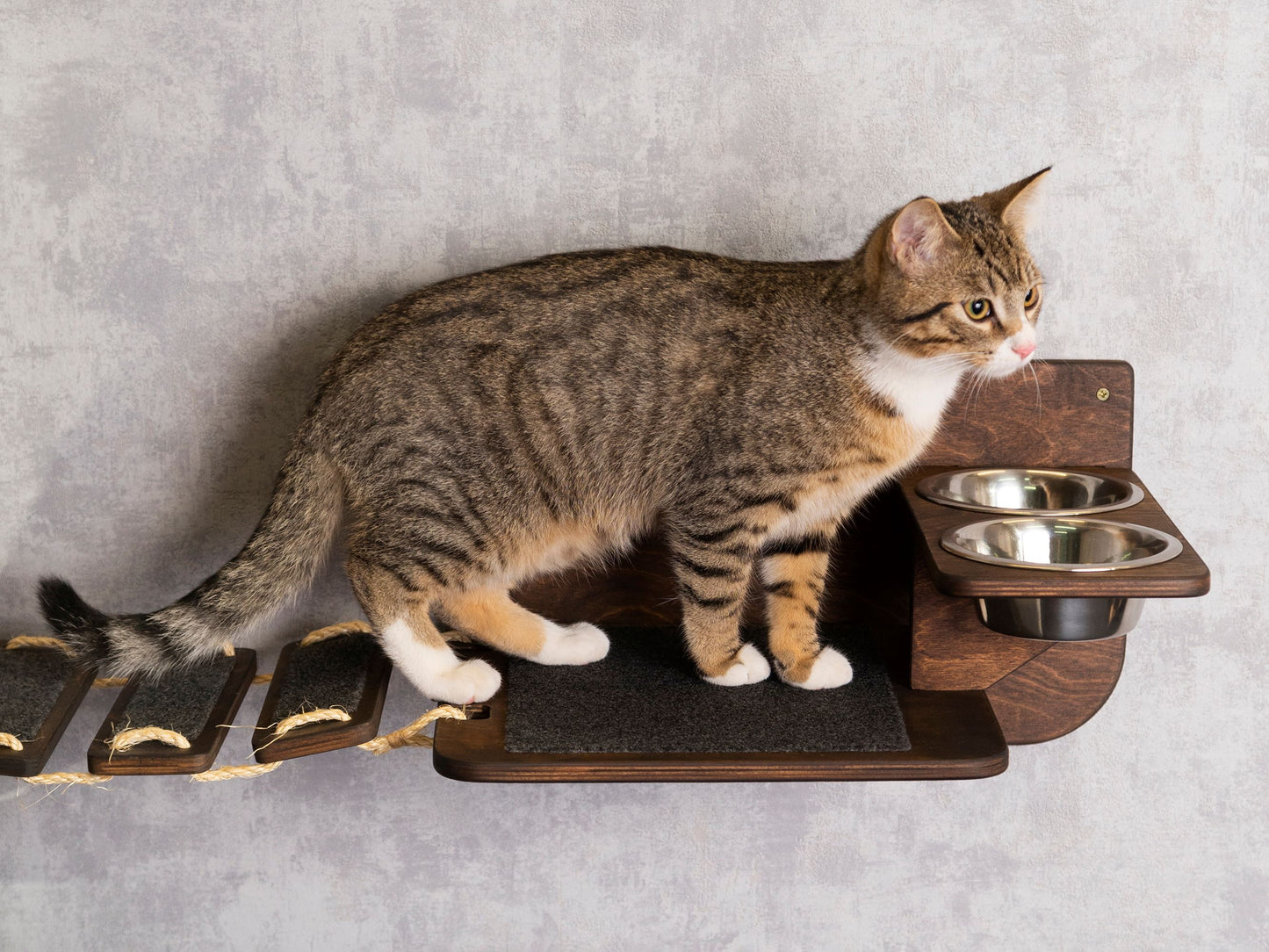 cat wall shelves, cat feeding station, cat bridge, wall shelves