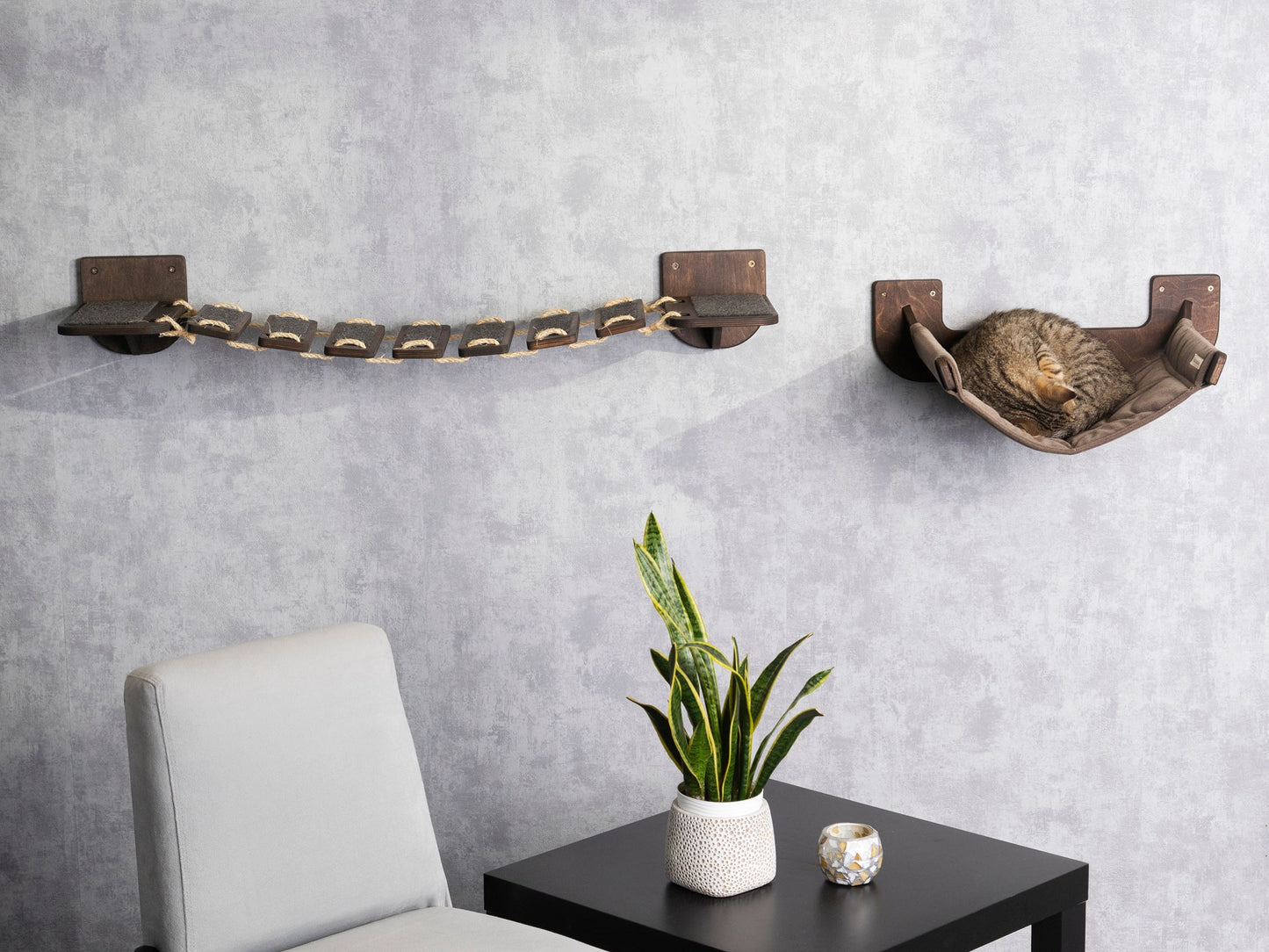 best cat bed, cat hammock, elevated cat bed, cat wall shelves, cat bridge, floating shelf