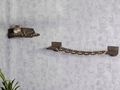 modern cat furniture - cat hammock, cat bridge, cat climbing wall, cat wall shelves, long shot