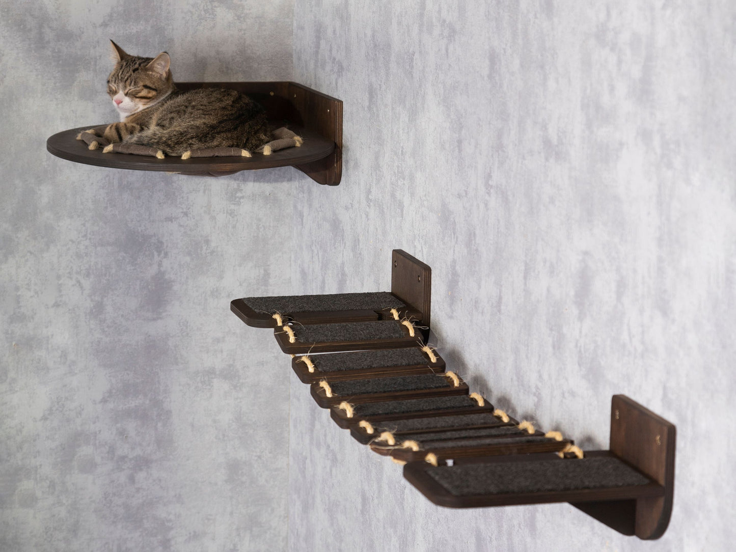 cat hammock, donut cat bed, cat bridge, wall cat shelves, cat steps for wall, side view