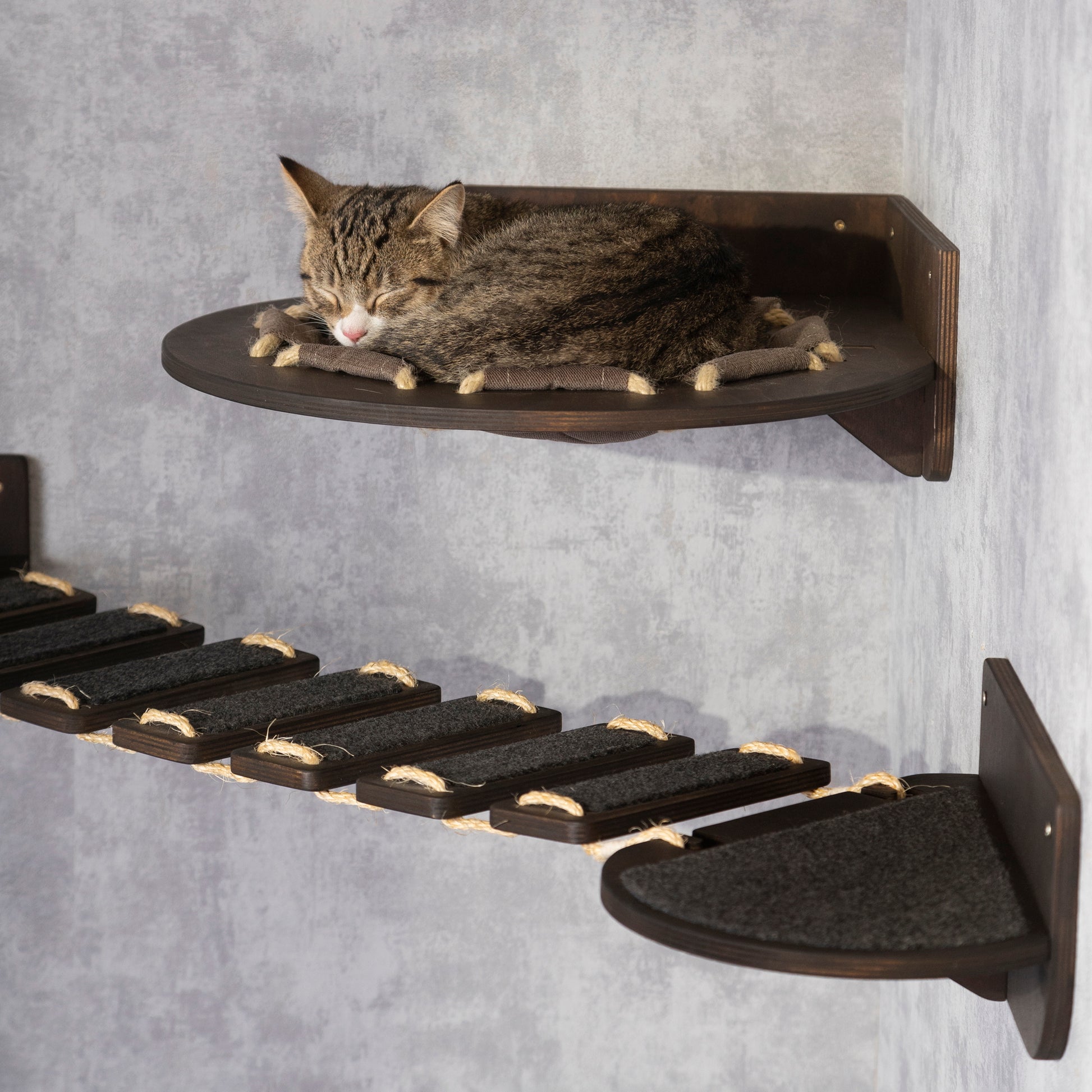 cat hammock, cat bridge, donut cat bed, wall shelves, cat bed elevated