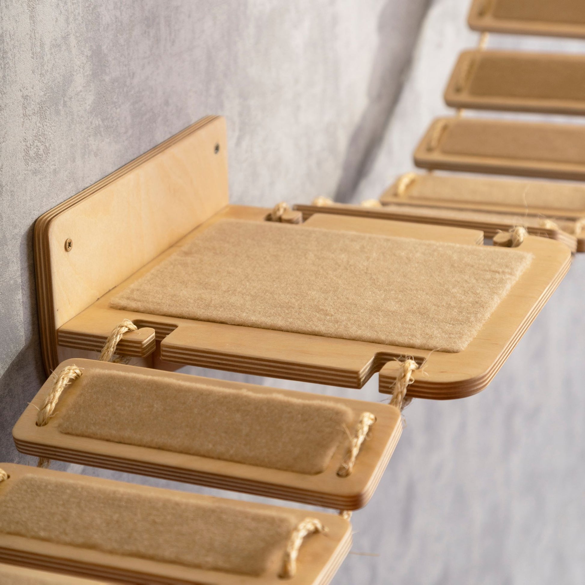 cat wall furniture -wall  shelves, cat bridge, cat climbing wall, color clear