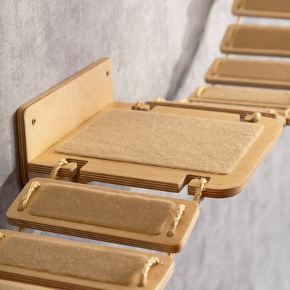 cat wall furniture -wall  shelves, cat bridge, cat climbing wall, color clear