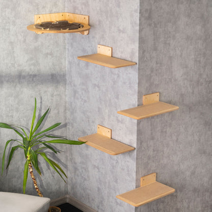 Luxurious Cat Round Hammock Set with Ladder Shelf