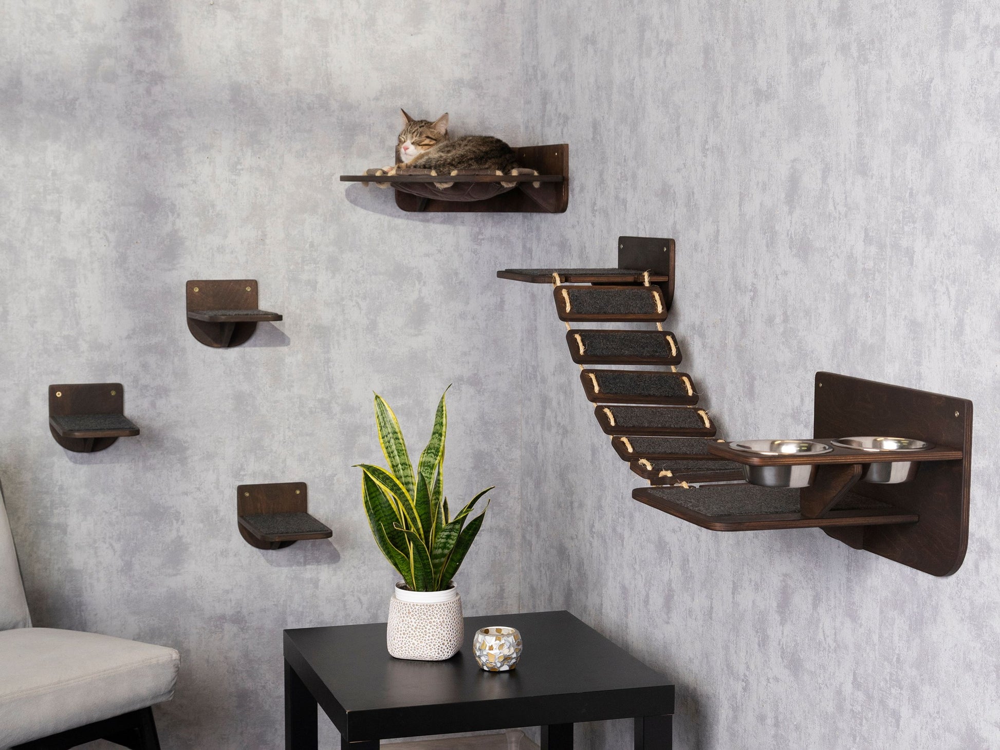 cat tower, pet steps, cat steps for wall, wall shelves, cat bridge, cat hammock, donut cat bed, cat food bowl, cat feeding station