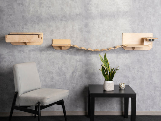 elevated cat bed, cat shelves for wall, slow feeder for cats, right bowl, color clear