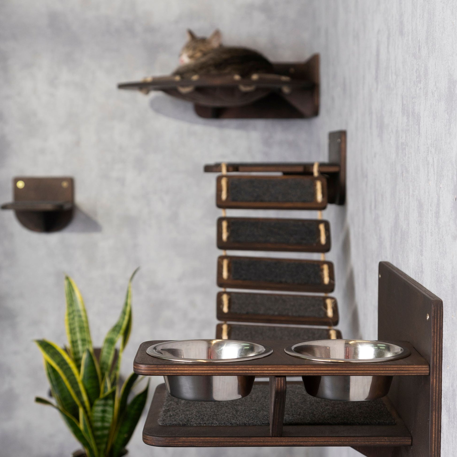 cat wall shelves, cat slow feeder, pet steps, cat food bowl, cat bridge, donut cat bed, wall shelves