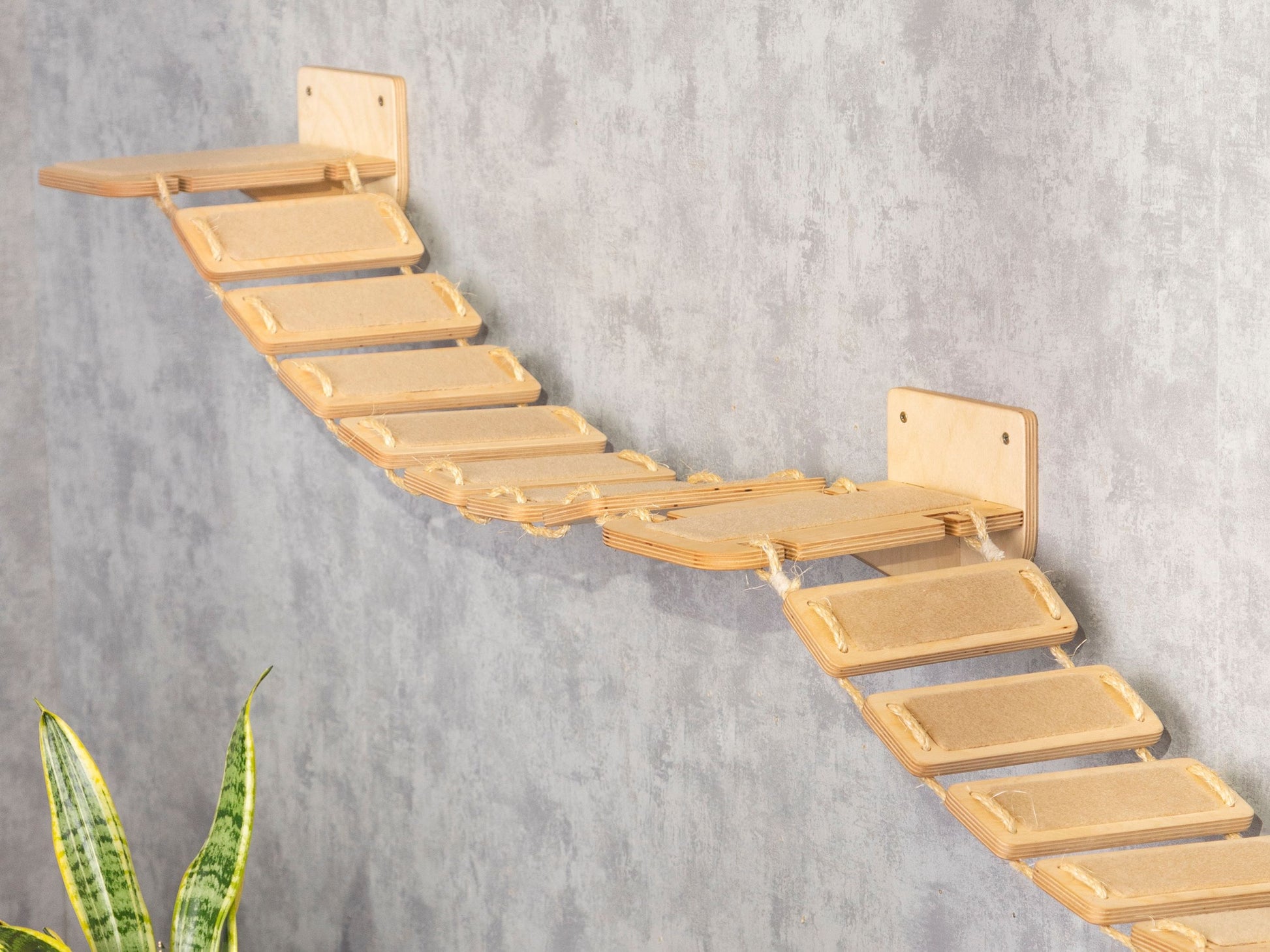 cat wall furniture - wall shelves, cat bridge, cat climbing wall