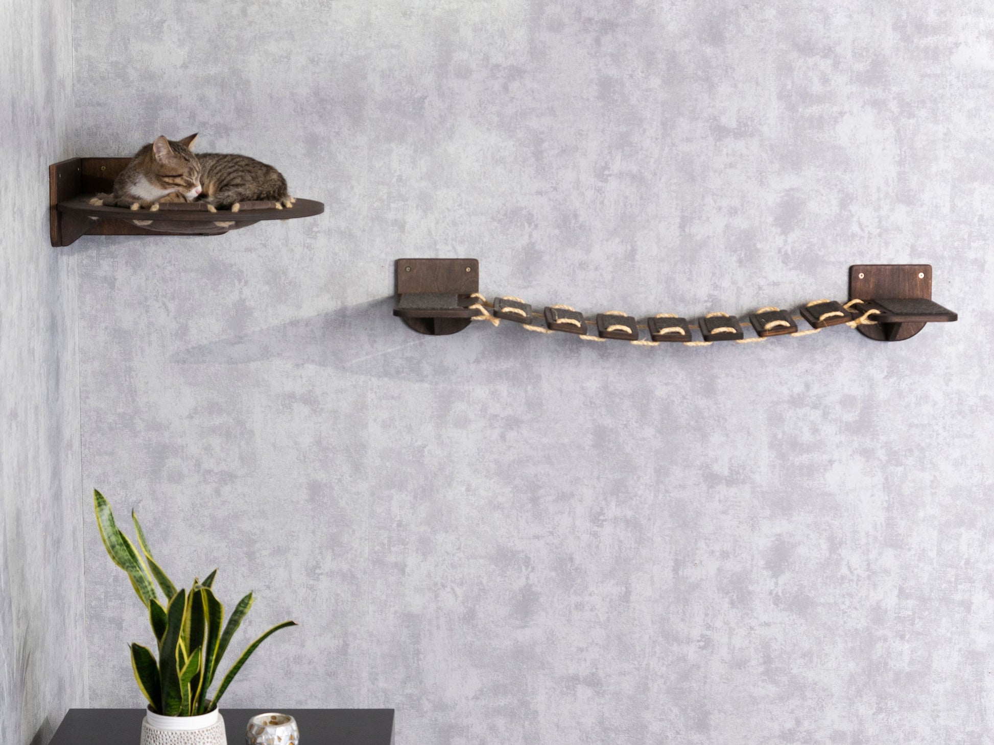 cat furniture for large cats - cat hammock, cat bridge, cat climbing wall