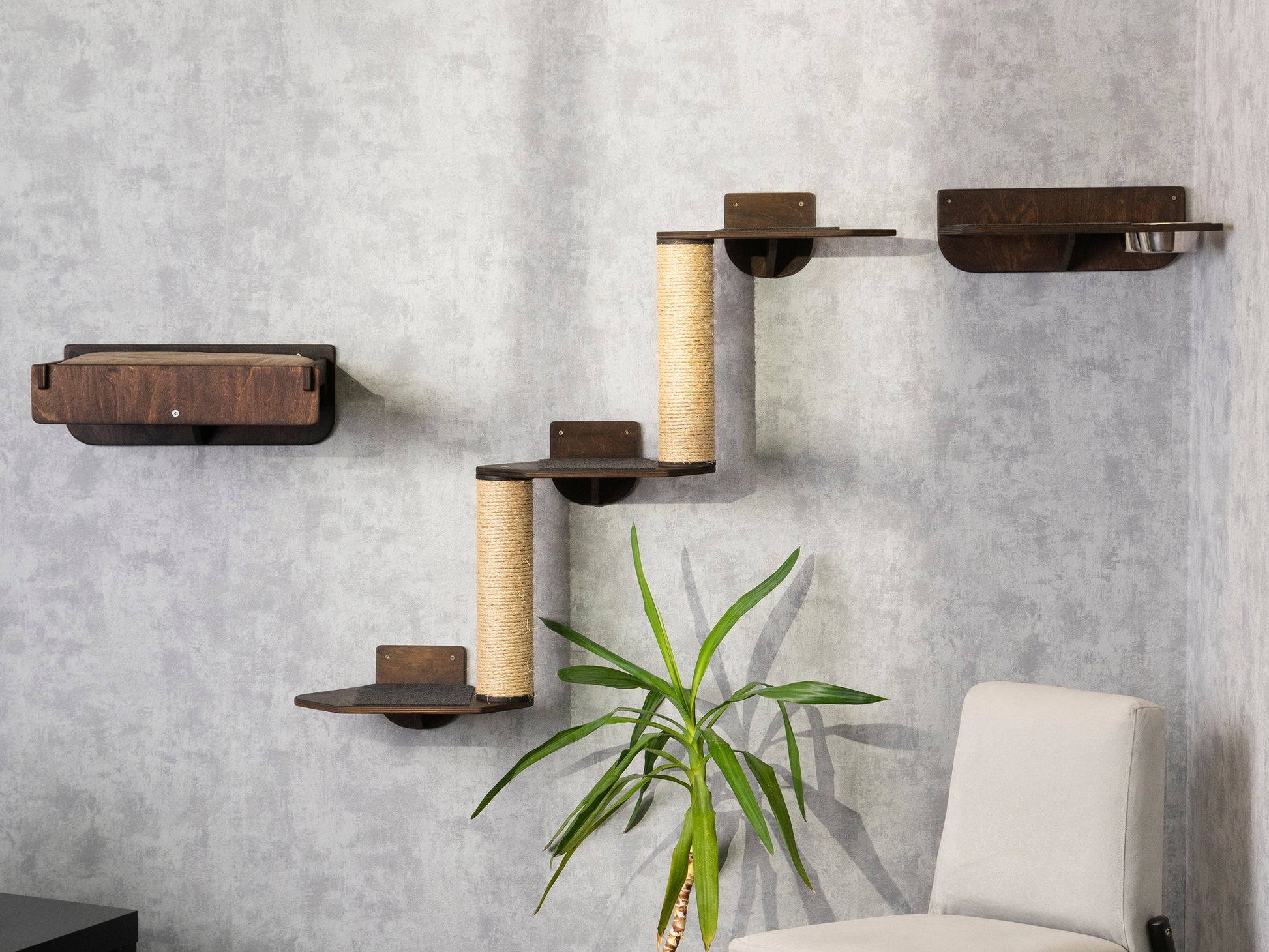 cat climbing wall, cat bed, cat palm tree, cat feeder, best cat bed, wall shelves, color wenge, right bowl