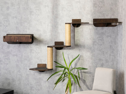 cat climbing wall, cat bed, cat palm tree, cat feeder, best cat bed, wall shelves, color wenge, right bowl