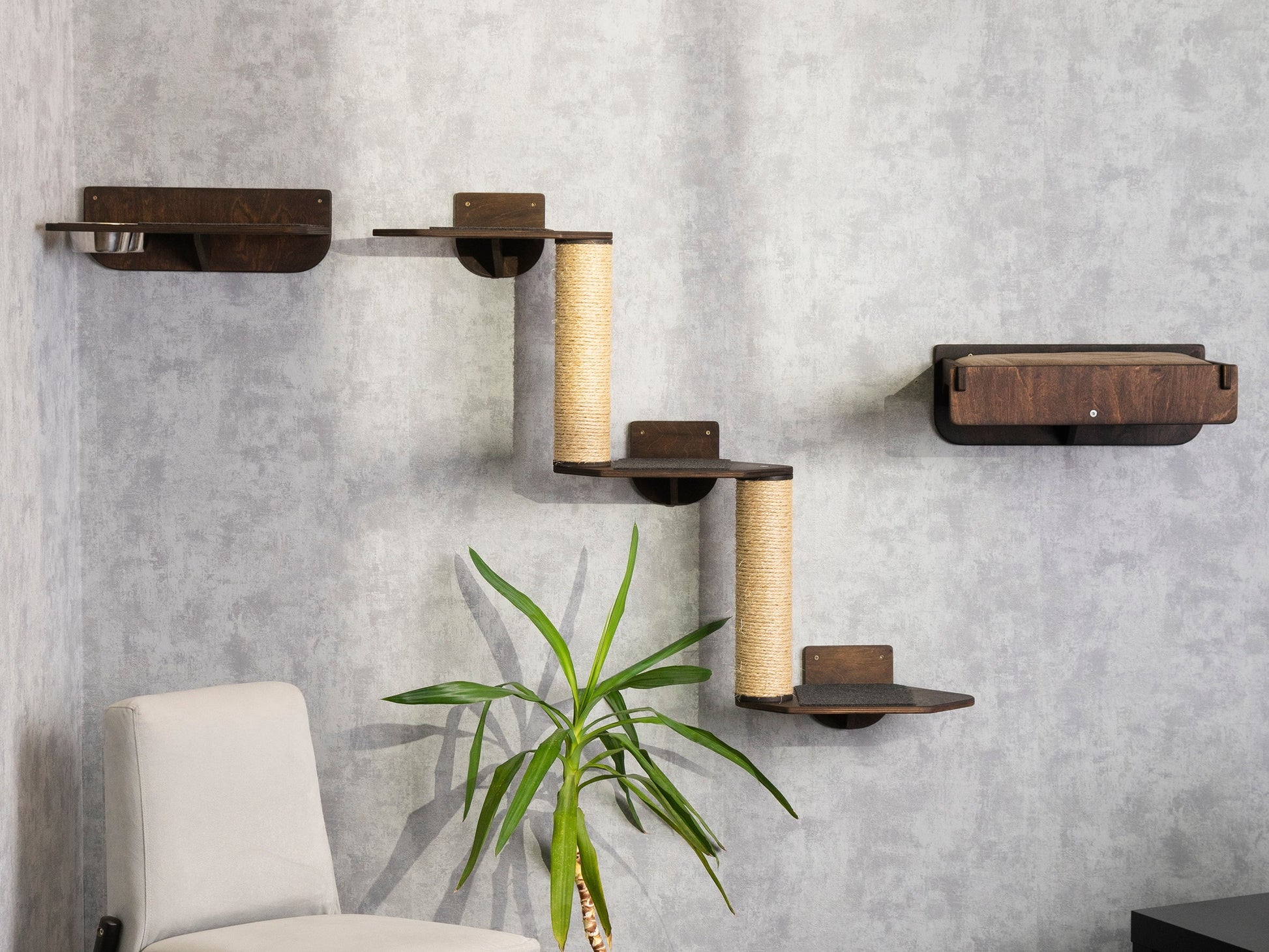 cat climbing wall, cat bed, cat palm tree, cat feeder, best cat bed, wall shelves, color wenge