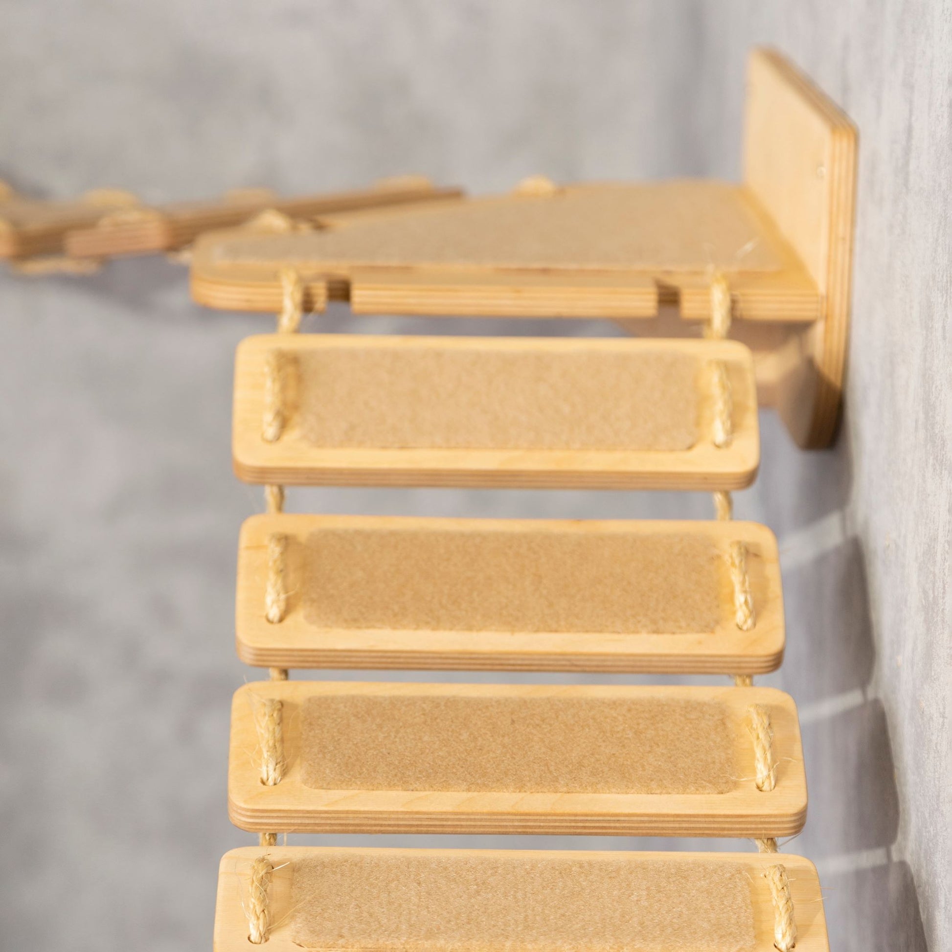 ladder shelf, floating shelf, cat climbing wall