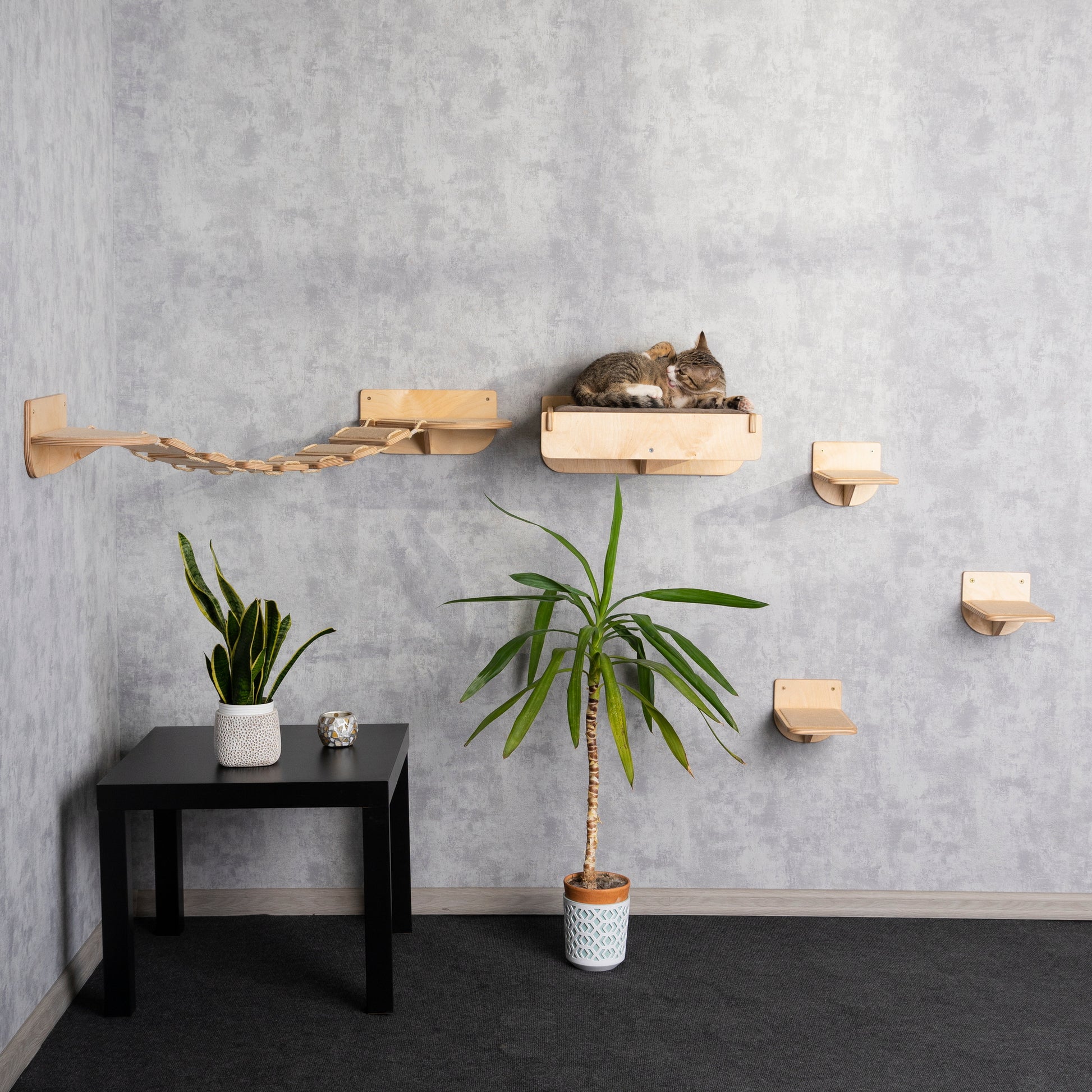 cat sale, cat bed, cat bridge, elevated cat bed, cat shelves for wall, cat steps for wall