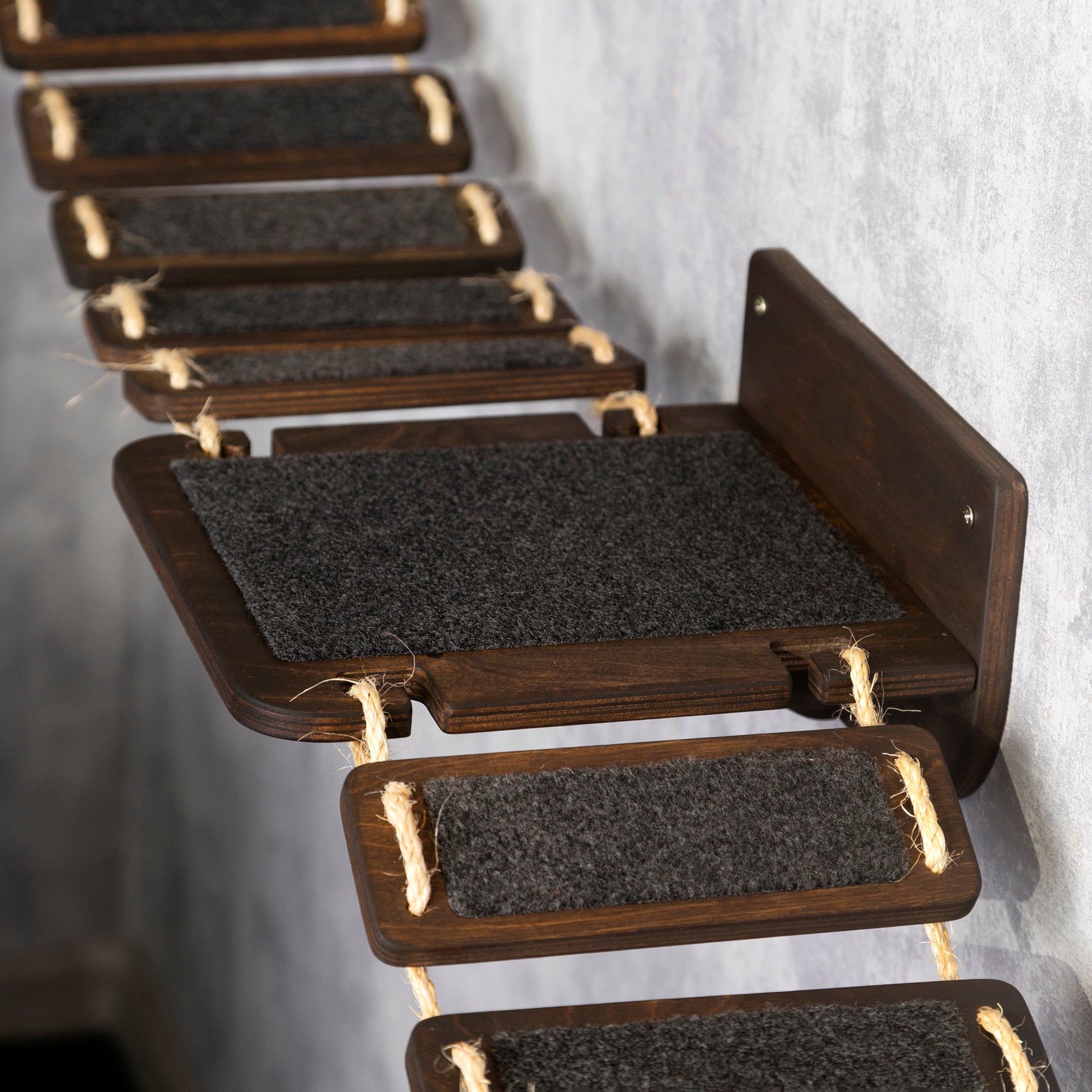 cat bridge, wall shelves, cat shelves for wall, cat steps for wall, color wenge, top view 