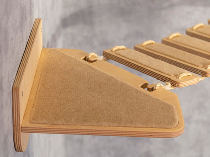 cat wall shelves